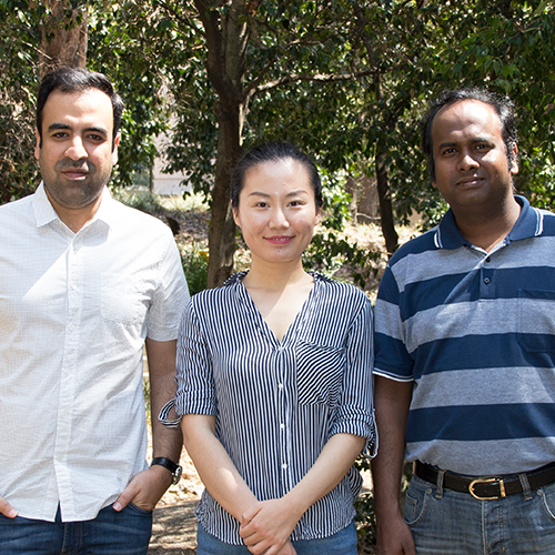 PhD essay winners Hossein Rad, Maggie Liu, and Dewan Rahman