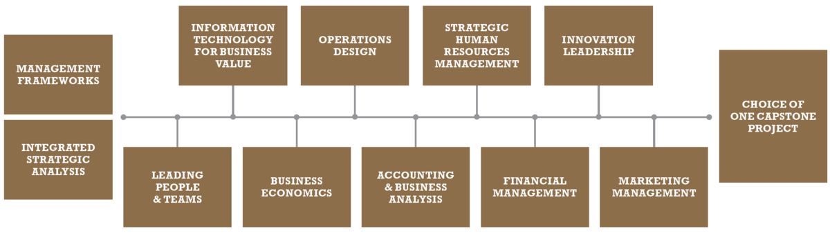 MBA Course Structure