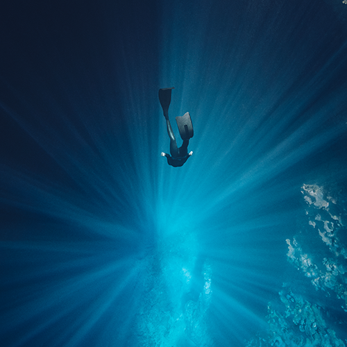 Own The Unknown Campaign Own The Unknown Campaign